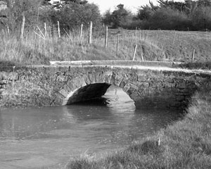 pont ancien nb300